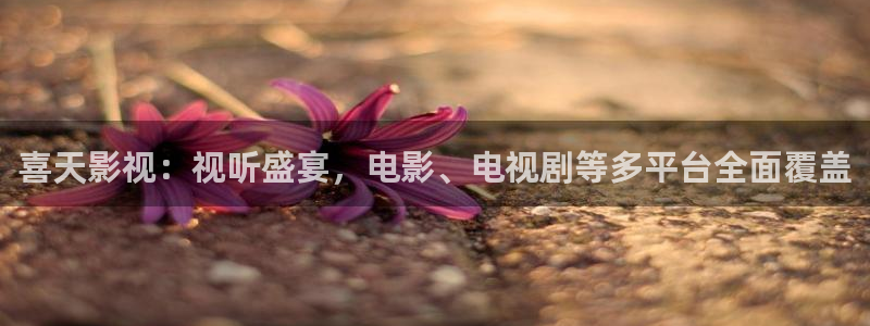 窝窝影院最新电视剧免费看：喜天影视：视听盛宴，电影、电视剧等多平台全面覆盖
