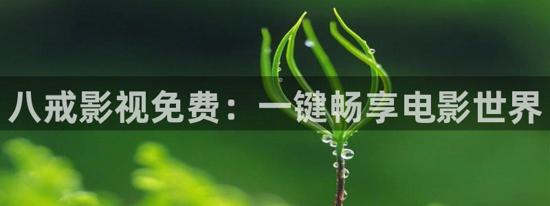 窝窝小影院：八戒影视免费：一键畅享电影世界