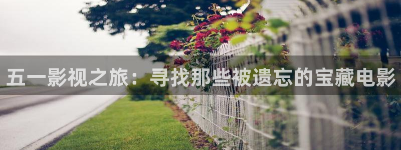 窝窝电视剧在线免费观看：五一影视之旅：寻找那些被遗忘的宝藏电影