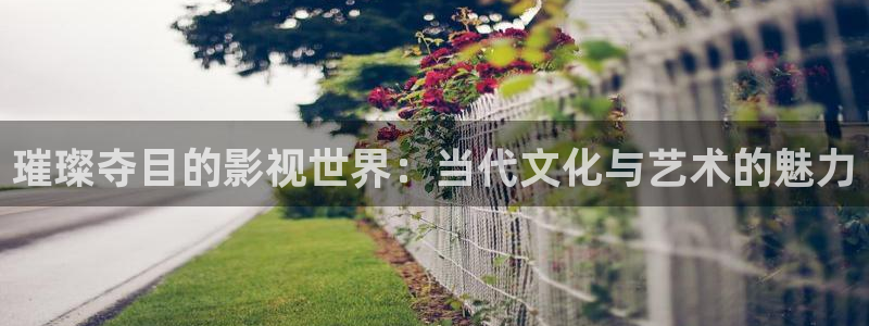 窝窝影院免费观看电视剧的最新章节：璀璨夺目的影视世界：当代文化与艺术的魅力
