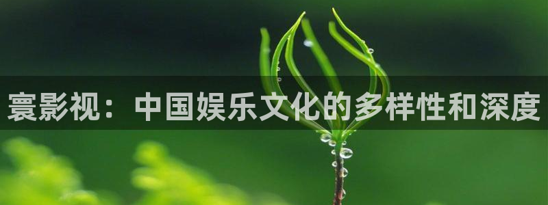 窝窝午夜电影：寰影视：中国娱乐文化的多样性和深度