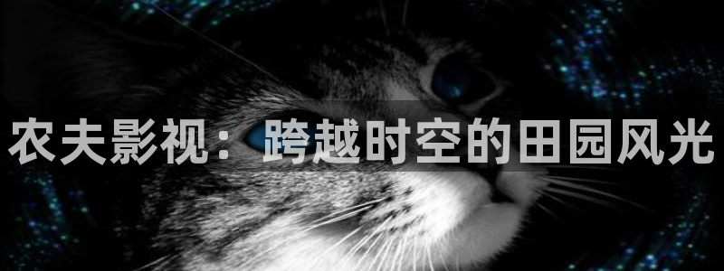 窝窝看电影电视剧：农夫影视：跨越时空的田园风光