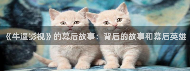 窝窝影院免费观看电视剧最新章节：《牛逼影视》的幕后故事：背后的故事和幕后英雄