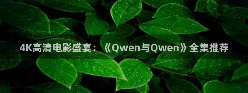 鲁鲁影院电视剧电影窝窝在线观看：4K高清电影盛宴：《Qwen与Qwen》全集推荐