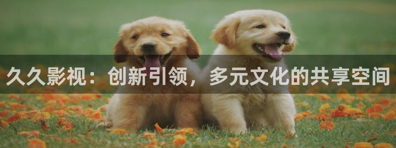 窝窝在线观看：久久影视：创新引领，多元文化的共享空间