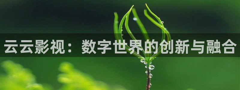 窝窝影院免费观看电视剧的最新版本：云云影视：数字世界的创新与融合