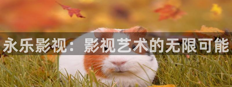 窝窝网免费看电视剧6080：永乐影视：影视艺术的无限可能