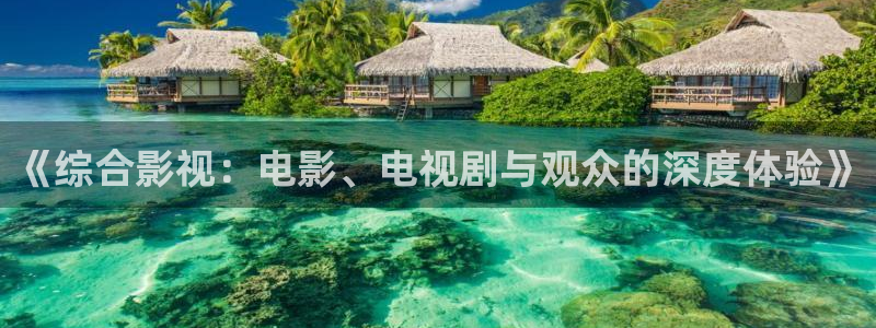 窝窝手机电影：《综合影视：电影、电视剧与观众的深度体验》