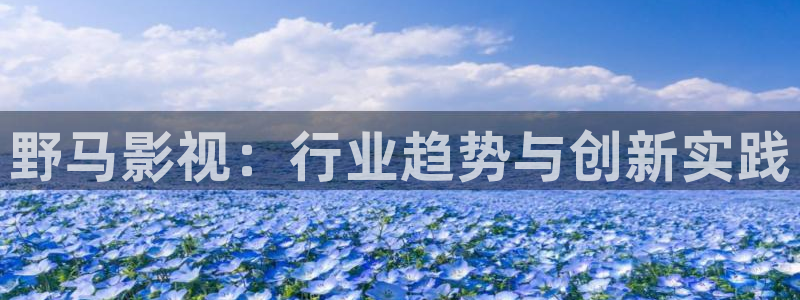 6080新视觉窝窝：野马影视：行业趋势与创新实践