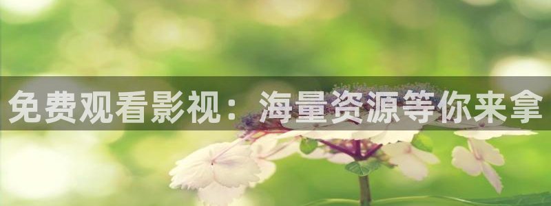 窝窝影院热门电视剧：免费观看影视：海量资源等你来拿